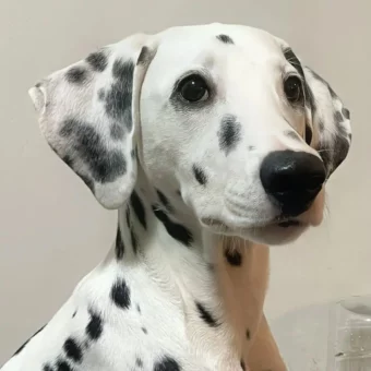 头像｜微信头像 超心动