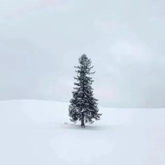 背景图 | 𝑾𝒆𝑪𝒉𝒂𝒕背景图