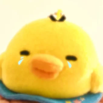 头像 | 鼻孔鸡积累