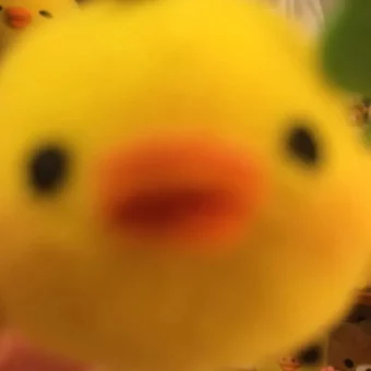 头像 | 鼻孔鸡积累