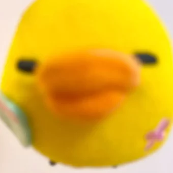 头像 | 鼻孔鸡积累