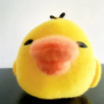 头像 | 鼻孔鸡积累