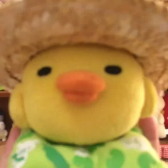 头像 | 鼻孔鸡积累