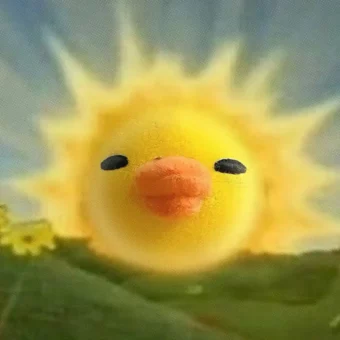 头像 | 鼻孔鸡积累