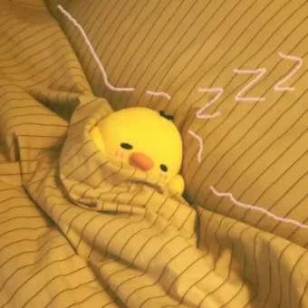 头像 | 鼻孔鸡积累