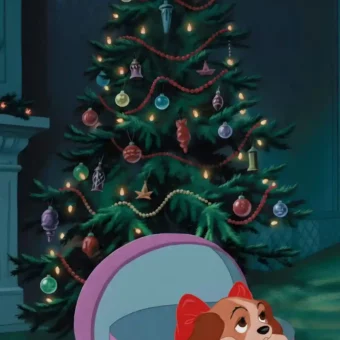 壁纸 ​​​​​​​​​​​​​| 4K全面屏超高清壁纸