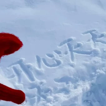 壁纸 ​​​​​​​​​​​​​| 4K全面屏超高清壁纸