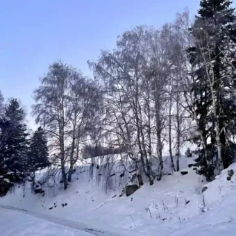 壁纸 ​​​​​​​​​​​​​| 4K全面屏超高清壁纸