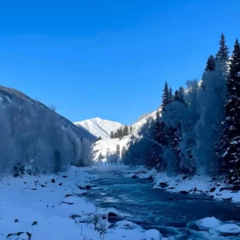 壁纸 ​​​​​​​​​​​​​| 4K全面屏超高清壁纸