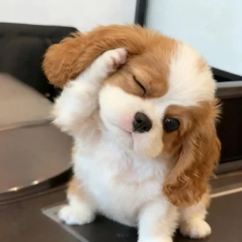 头像｜分享一些好看的头像