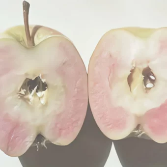 背景图 | 𝑾𝒆𝑪𝒉𝒂𝒕背景图