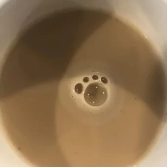 背景图 | 朋友圈の背景图