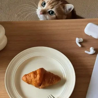 壁纸 ​​​​​​​​​​​​​| 4K全面屏超高清壁纸