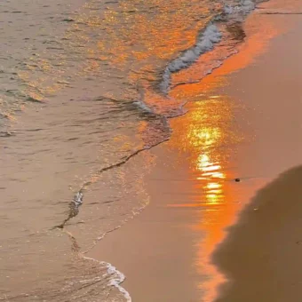 背景图 | 𝑾𝒆𝑪𝒉𝒂𝒕背景图