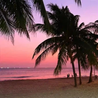 背景图 | 𝑾𝒆𝑪𝒉𝒂𝒕背景图