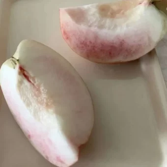 背景图 | 𝑾𝒆𝑪𝒉𝒂𝒕背景图