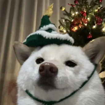 头像｜发现一些好看的头像