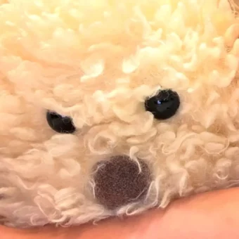 头像 | 来和爱夫一起换头像叭