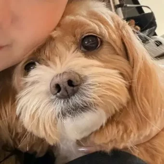 头像 | 来和爱夫一起换头像叭