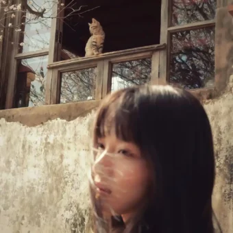 头像｜好看的头像来啦