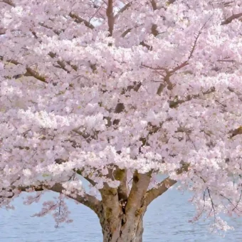 壁纸 ​​​​​​​​​​​​​| 4K全面屏超高清壁纸