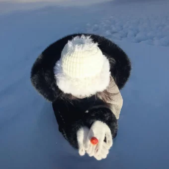 头像｜微信头像该换啦