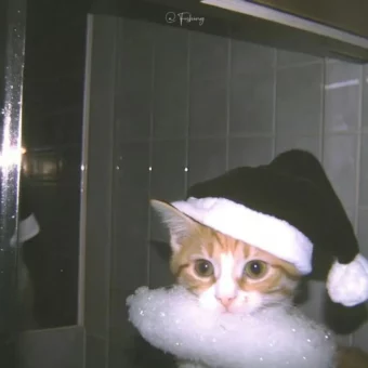 背景图 | 𝑾𝒆𝑪𝒉𝒂𝒕背景图