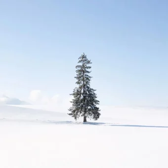 背景图 |  𝑾𝒆𝑪𝒉𝒂𝒕背景图