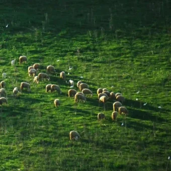 壁纸 ​​​​​​​​​​​​​| 4K全面屏超高清壁纸