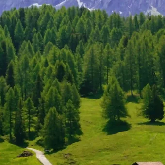 壁纸 ​​​​​​​​​​​​​| 4K全面屏超高清壁纸