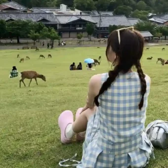 壁纸 ​​​​​​​​​​​​​| 4K全面屏超高清壁纸