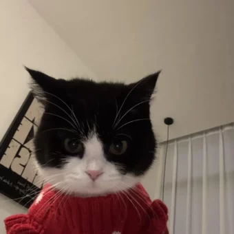 头像｜小众风格头像