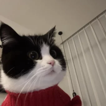 头像｜小众风格头像