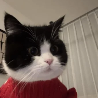 头像｜小众风格头像