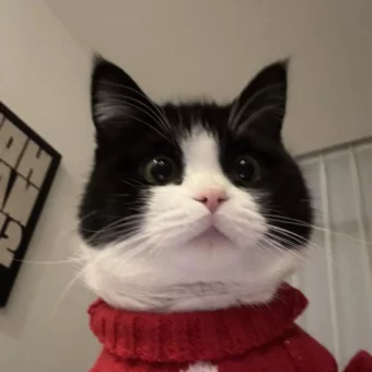 头像｜小众风格头像