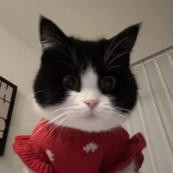 头像｜小众风格头像