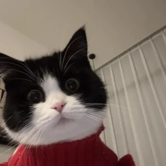 头像｜小众风格头像