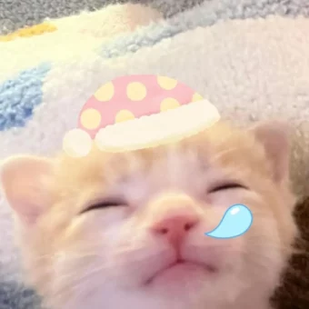 头像丨可爱搞怪头像存一下