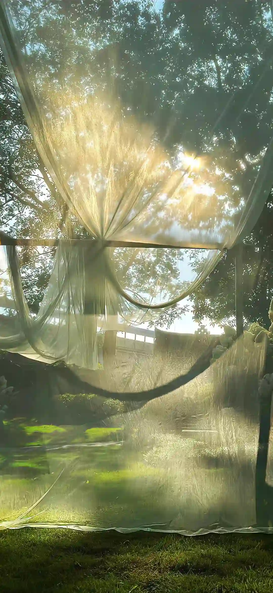 壁纸 | 手机壁纸