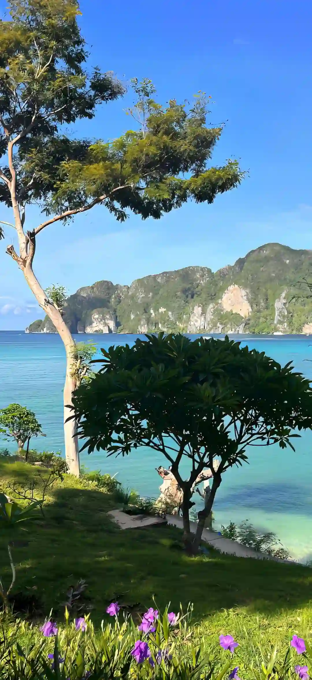 壁纸- 超好看全面屏壁纸