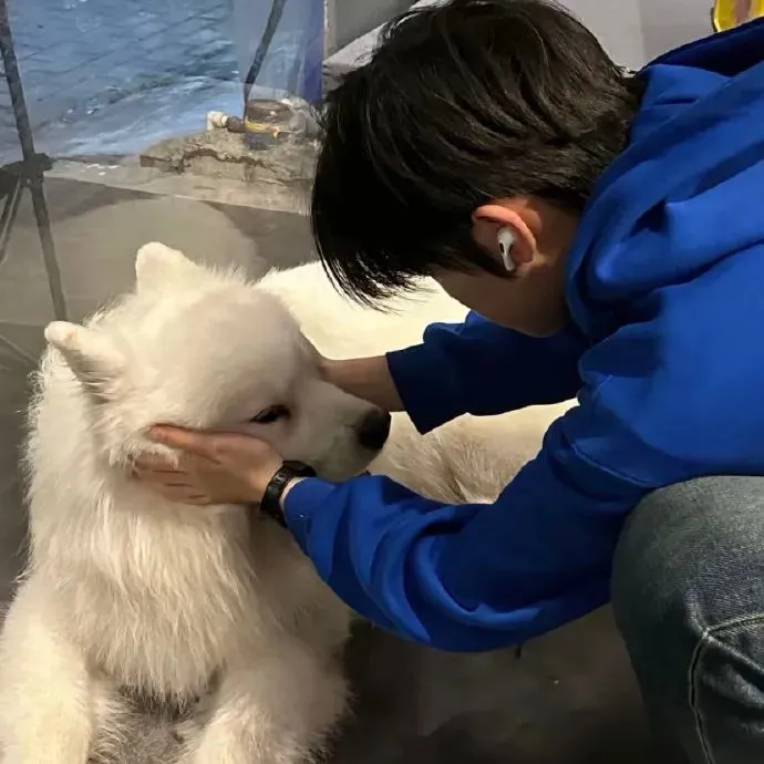 头像丨一些松弛感头像