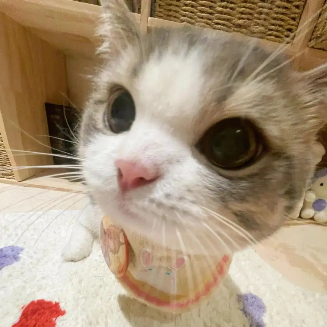 头像丨一些松弛感头像