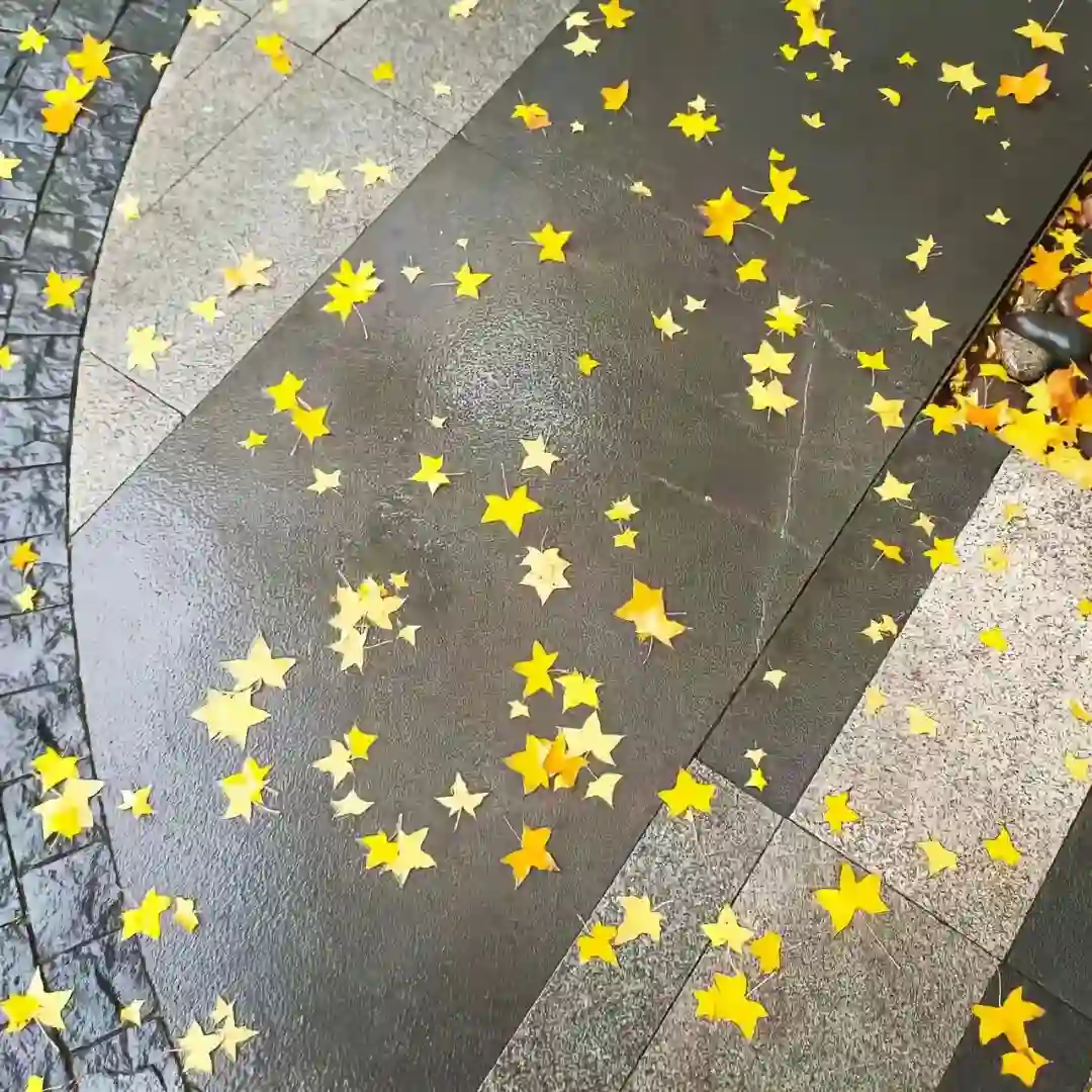 背景图 | 朋友圈背景图