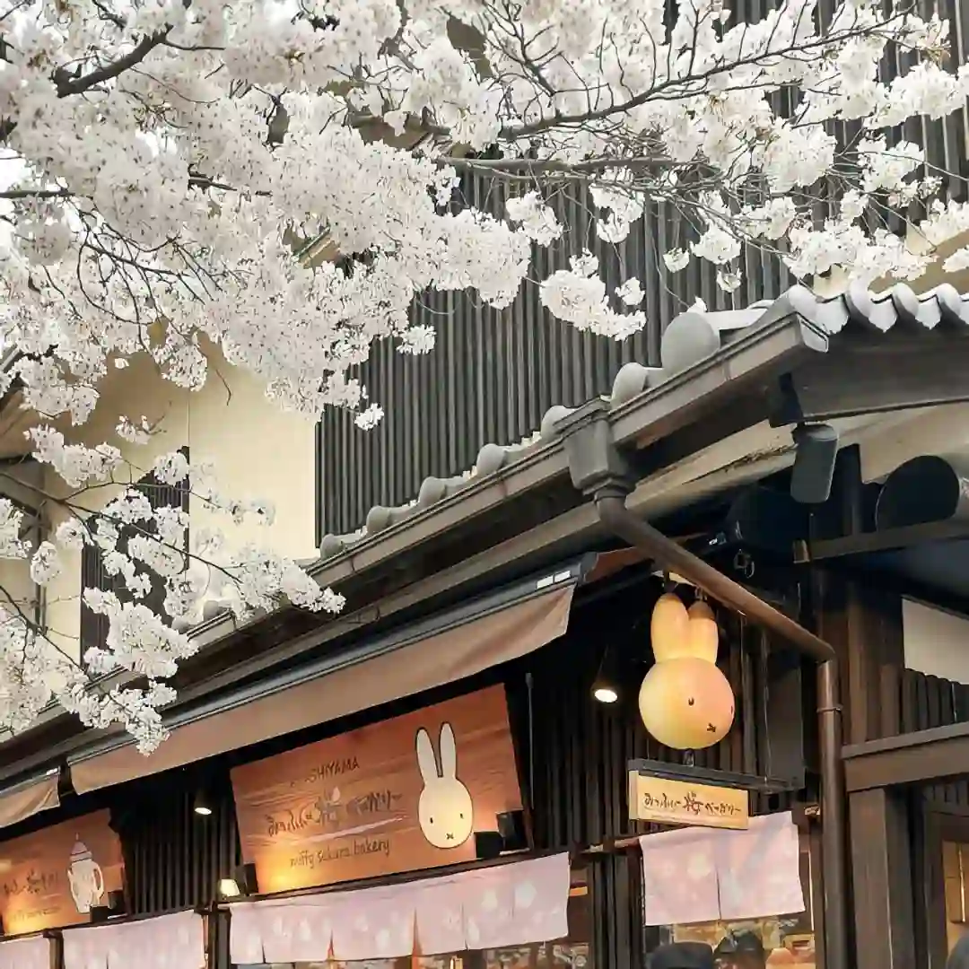 背景图 | 朋友圈背景图