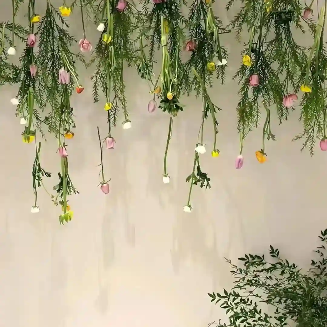背景图 | 朋友圈背景图