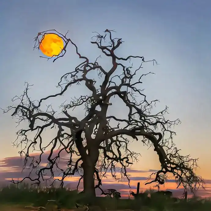 背景图 | 朋友圈背景图