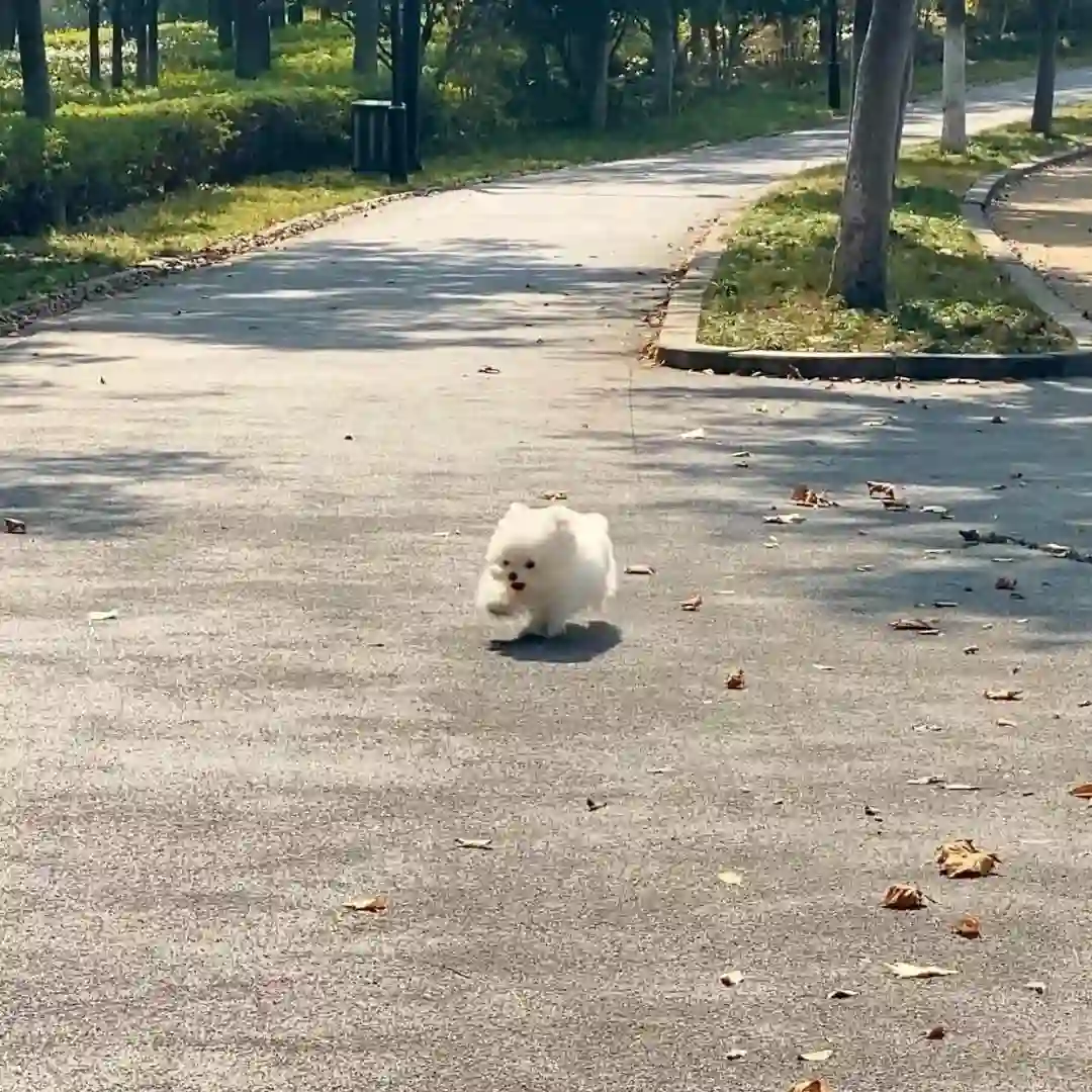 头像丨耐看的小众头像