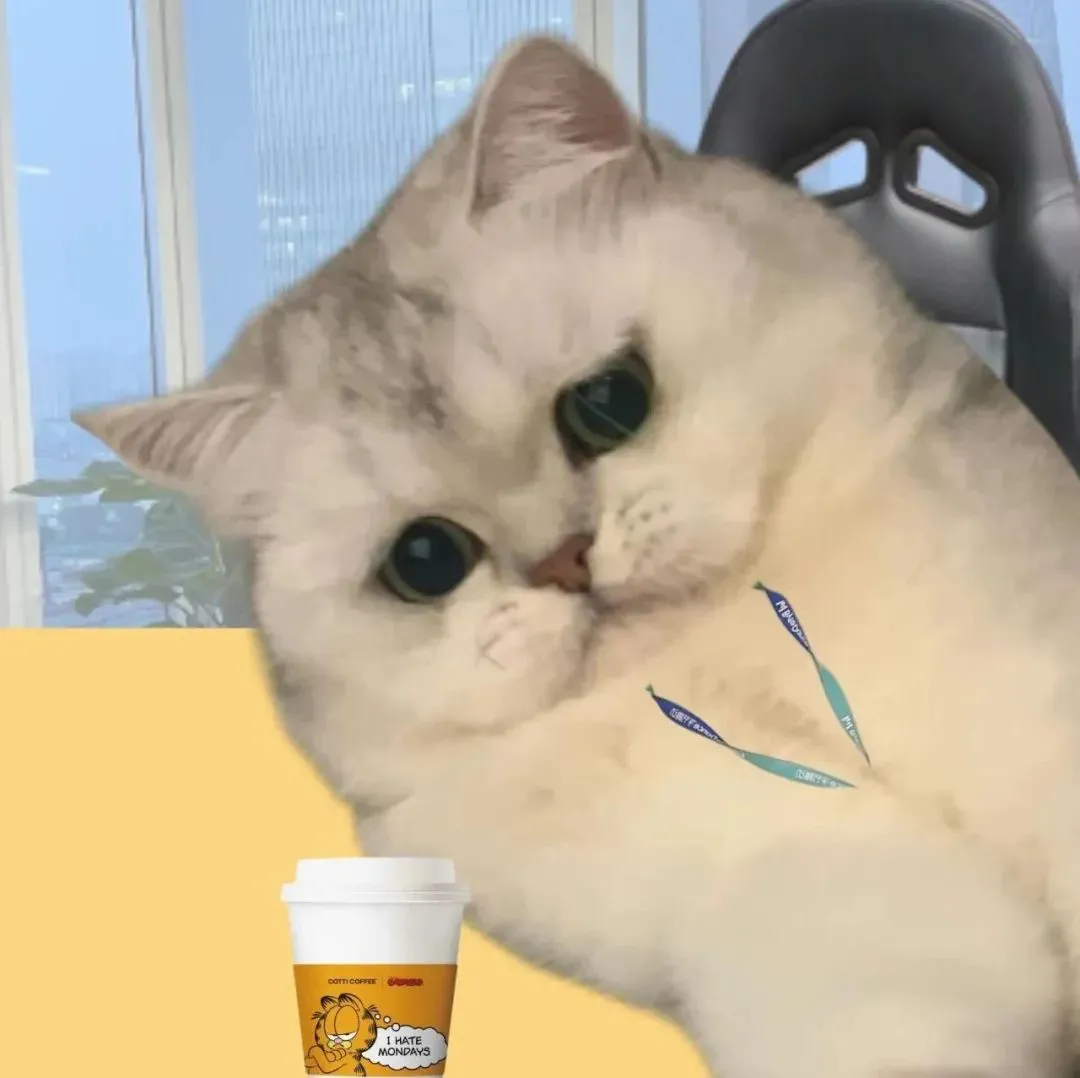 头像丨耐看的小众头像