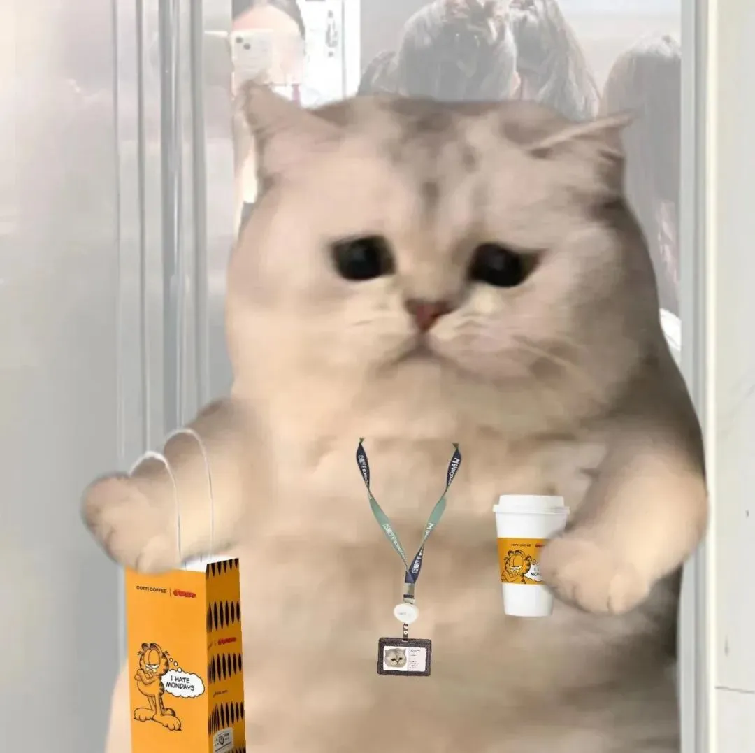 头像丨耐看的小众头像