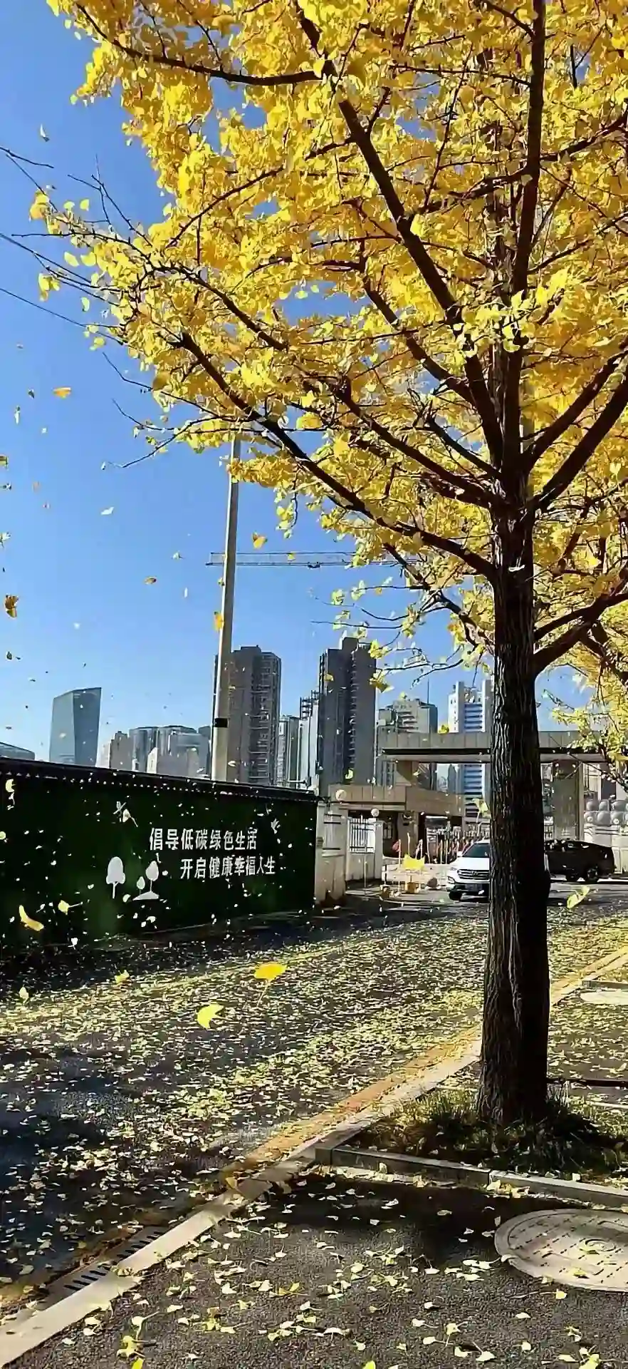 壁纸 | 手机壁纸